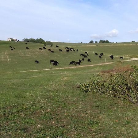 Вилла Agriturismo Preele Ferrara di Monte Baldo Экстерьер фото