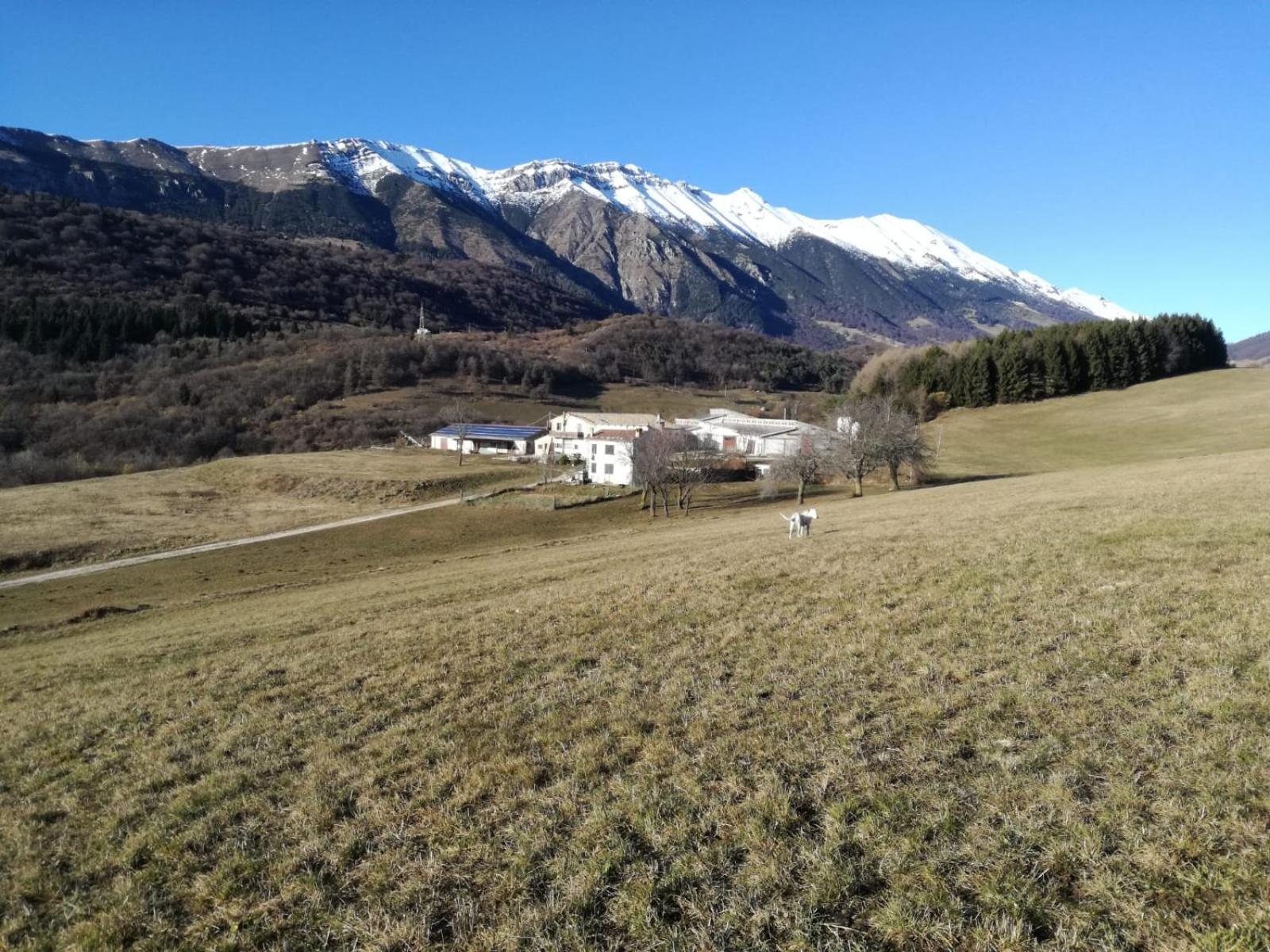 Вилла Agriturismo Preele Ferrara di Monte Baldo Экстерьер фото
